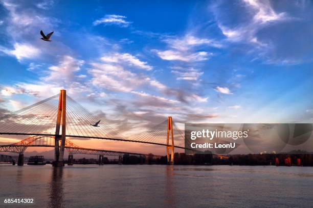 fiume fraser al tramonto, bc, canada - columbia britannica foto e immagini stock