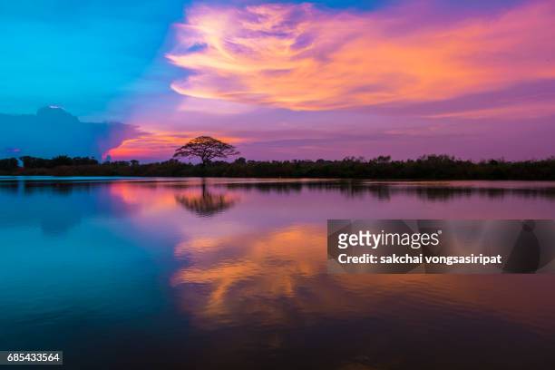silhouette of tree on river against sky during sunset - day and night image series stock pictures, royalty-free photos & images