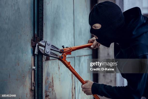 thief - bolt cutter stock pictures, royalty-free photos & images