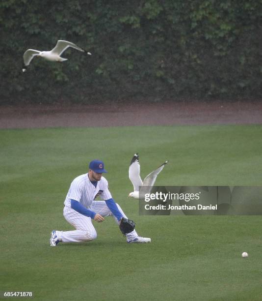 Ian Happ of the Chicago Cubs fields a ball as seagulls fly past against the Milwaukee Brewers in the 5th inning at Wrigley Field on May 19, 2017 in...