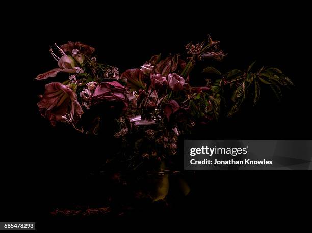 wilted flowers - nature morte imagens e fotografias de stock