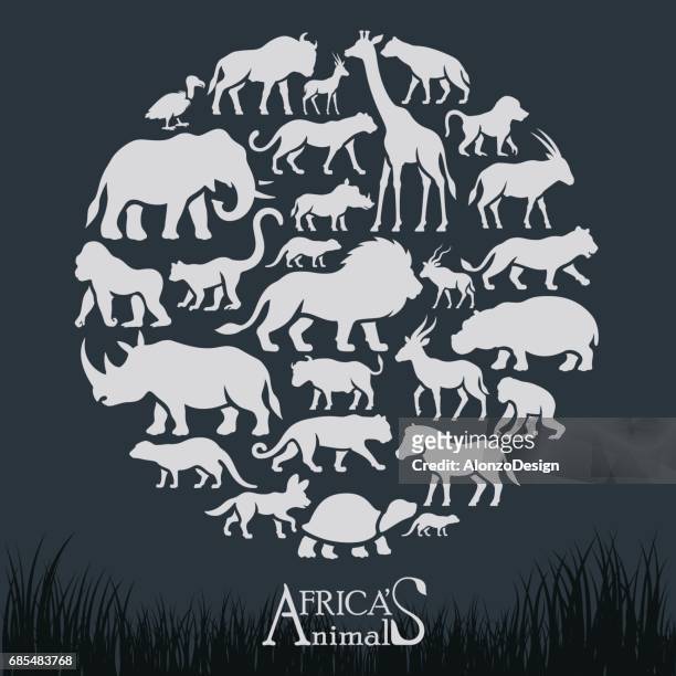 ilustraciones, imágenes clip art, dibujos animados e iconos de stock de collage de animales africanos - búfalo africano