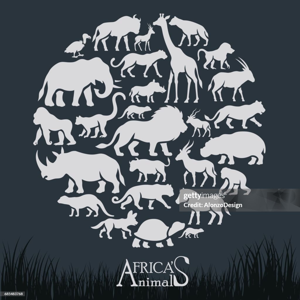African Animals Collage High-Res Vector Graphic - Getty Images