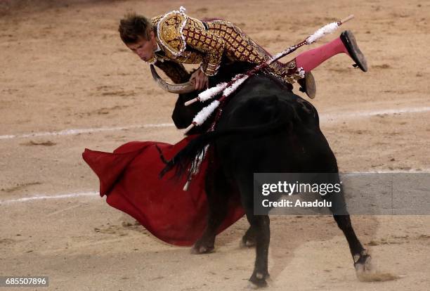 Bullfighter Injuries 331 Bull Fighting Injury Stock Photos, High-Res Pictures, and Images ...