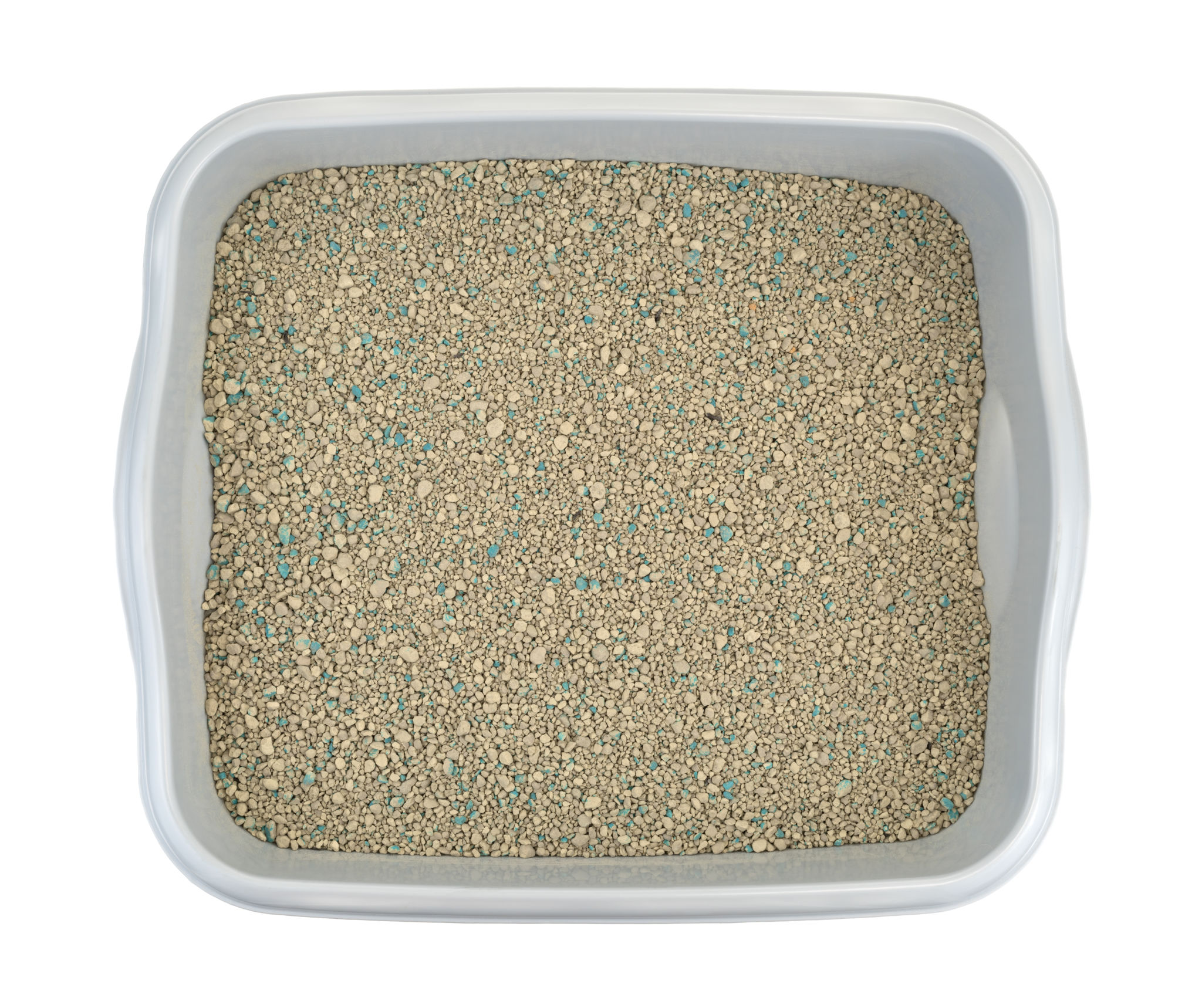 Ground clay cat litter in plastic litter-box Ground clay cat litter in plastic litter-box