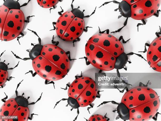 3d rendered ladybugs isolated on white - ladybug stock illustrations