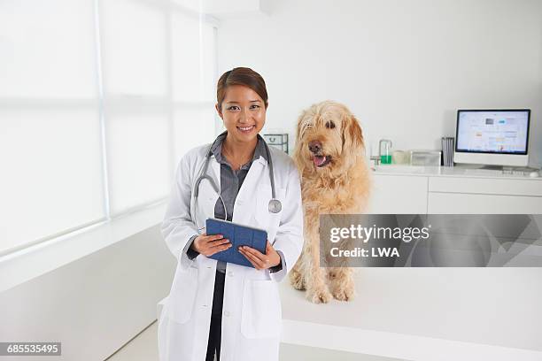 Veterinary Stock Photo Using Computer 1,028 Dog In Front Of Computer Stock Photos, High-Res Pictures, and ...