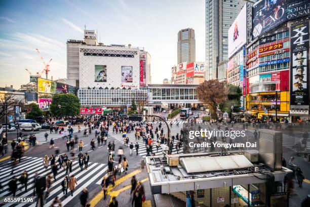 elevated view of shibuya crossing - shibuya crossing stock pictures, royalty-free photos & images