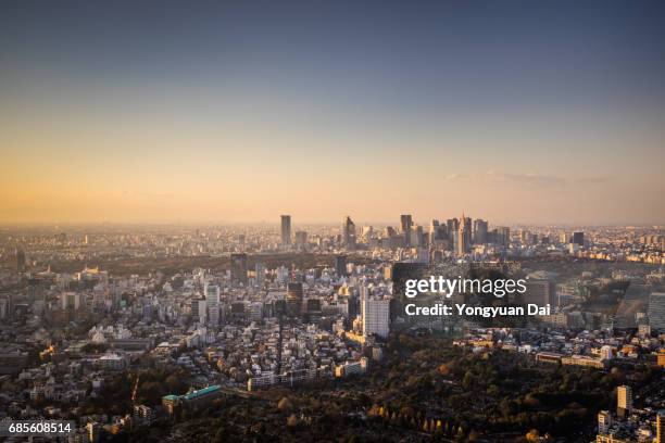 aerial view of tokyo skyline at sunset - yongyuan tokyo stock pictures, royalty-free photos & images