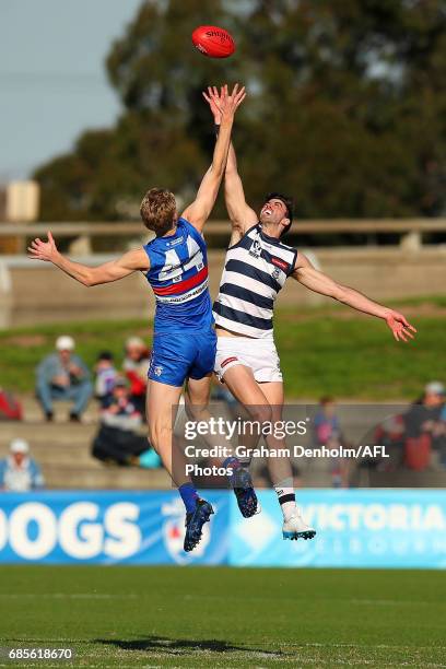 Timothy English of Footscray competes in the air with Ryan Abbott of Geelong during the round six VFL match between the Footscray Bulldogs and the...