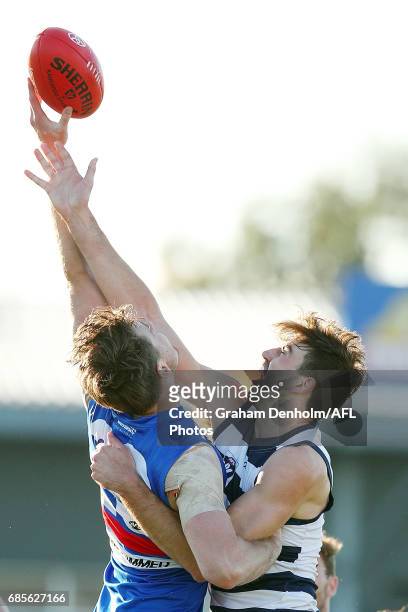 Ryan Abbott of Geelong competes in the air during the round six VFL match between the Footscray Bulldogs and the Geelong Cats at Whitten Oval on May...