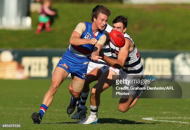 Mitchell Honeychurch of Footscray handballs during the round six VFL match between the Footscray Bulldogs and the Geelong Cats at Whitten Oval on May...