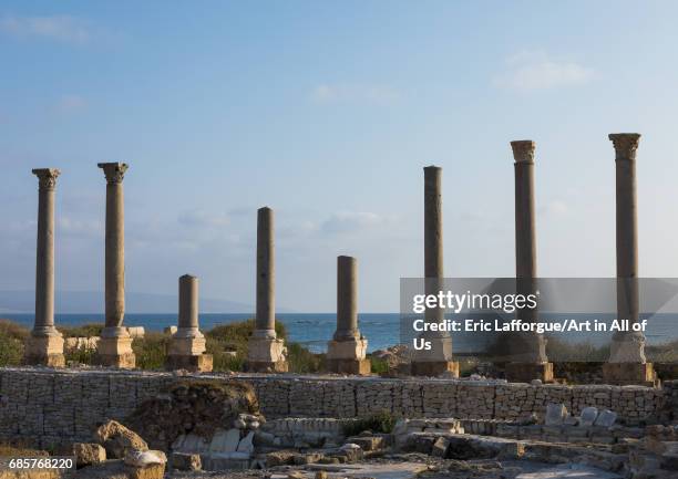 Al-Mina archaeological site, South Governorate, Tyre, Lebanon on May 3, 2017 in Tyre, Lebanon.