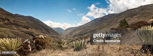 panoramic landscape of gavidia valley with frailejons. merida state, venezuela - mérida venezuela stock pictures, royalty-free photos & images