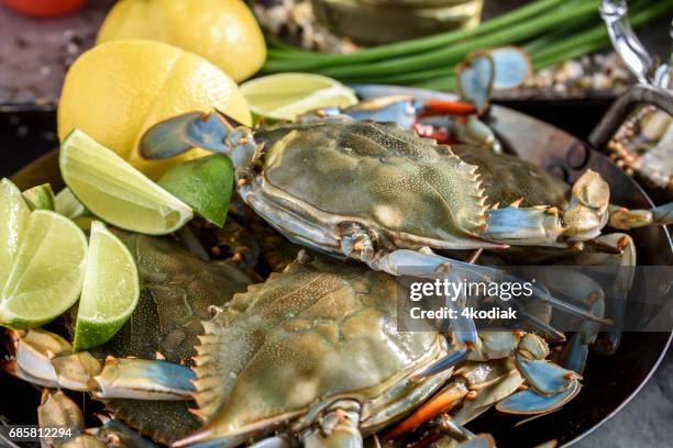 verse blauwe krab - crab pot stockfoto's en -beelden