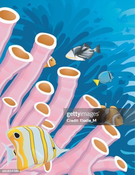 tube sponge coral with tropical fishes - tube sponge stock illustrations
