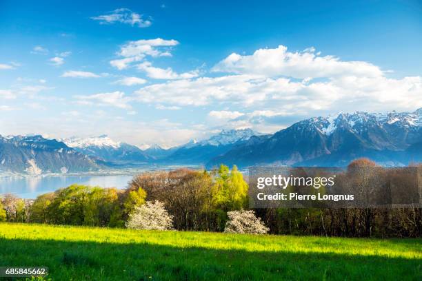 general view of lake geneva near the village of mont-pelerin. chablais alps in the swiss canton of valais are visible in the backdrop - dents du midi stockfoto's en -beelden