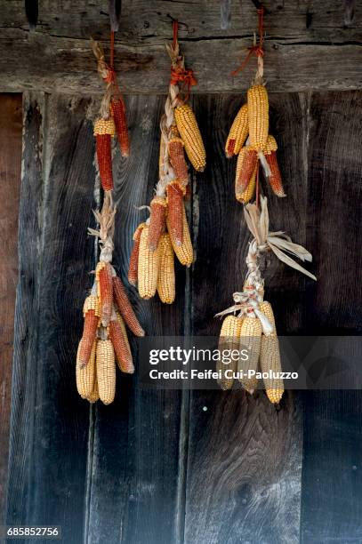 a traditional granary in cape lastres, asturias region, spain - lastres village in asturias - fotografias e filmes do acervo