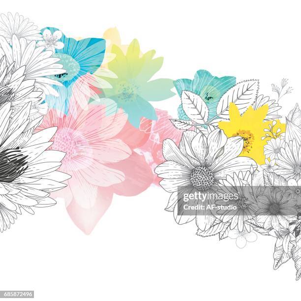 ilustraciones, imágenes clip art, dibujos animados e iconos de stock de fondo floral de handrawn - gerbera