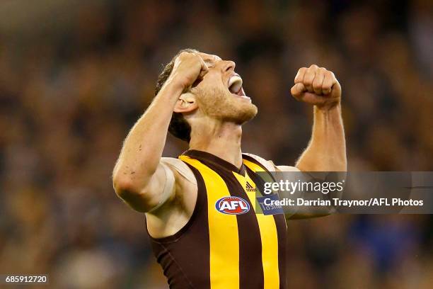 Ty Vickery of the Hawks celebrates a goal during the round nine AFL match between the Collingwood Magpies and the Hawthorn Hawks at Melbourne Cricket...