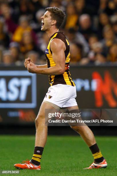 Luke Breust of the Hawks celebrates a goal during the round nine AFL match between the Collingwood Magpies and the Hawthorn Hawks at Melbourne...