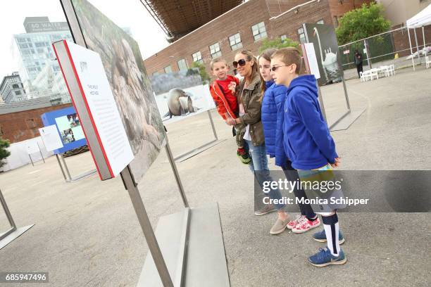 Guests attend the Family-Friendly 'Protect Like A Mother' Interactive Exhibit sponsored by Lysol at Brooklyn Bridge Park on May 20, 2017 in Brooklyn,...