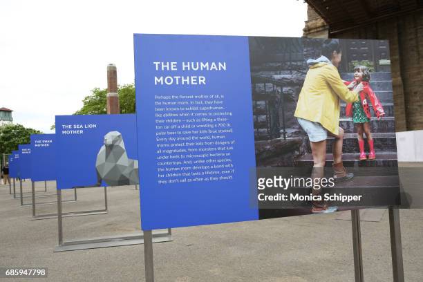 General view during the Family-Friendly 'Protect Like A Mother' Interactive Exhibit sponsored by Lysol at Brooklyn Bridge Park on May 20, 2017 in...