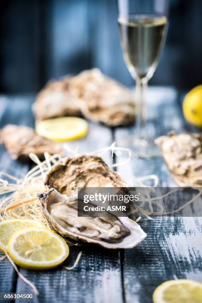 oesters met citroen - oysters stockfoto's en -beelden