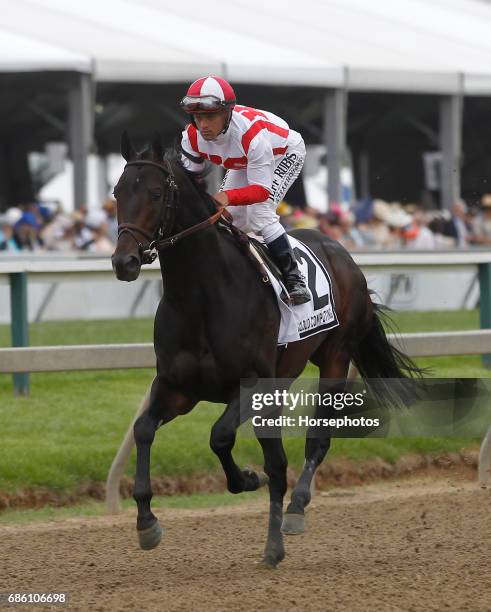 Cloud Computing, with Javier Castellano up, wins the Grade I Preakness Stakes at Pimlico Race Course on May 20, 2017 in Baltimore, Maryland.