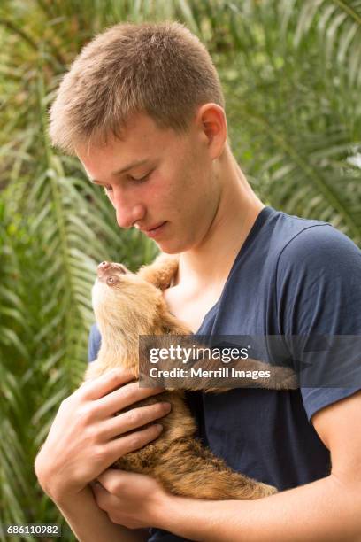 costa rica, tourist with baby sloth. - environmentalist stock pictures, royalty-free photos & images