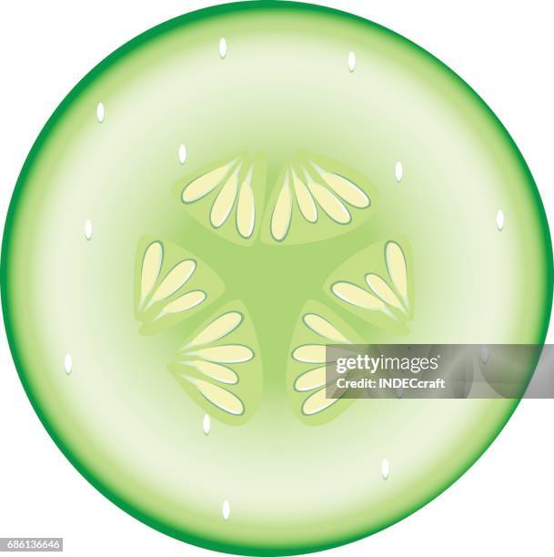cucumber slice - cucumber slice vector stock illustrations