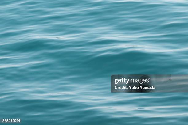 abstract patterns in nature - water waves - オーガニック fotografías e imágenes de stock