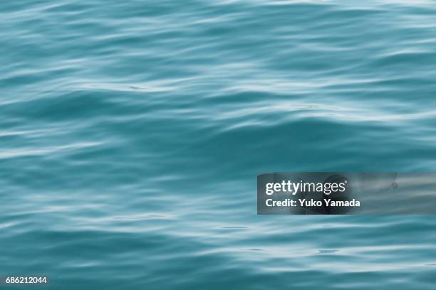 abstract patterns in nature - water waves - オーガニック - fotografias e filmes do acervo