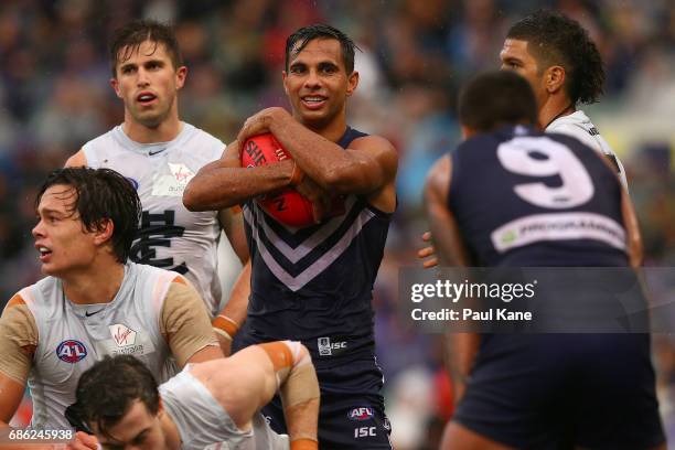 Danyle Pearce of the Dockers holds the ball while looking to the umpire during the round nine AFL match between the Fremantle Dockers and the Carlton...