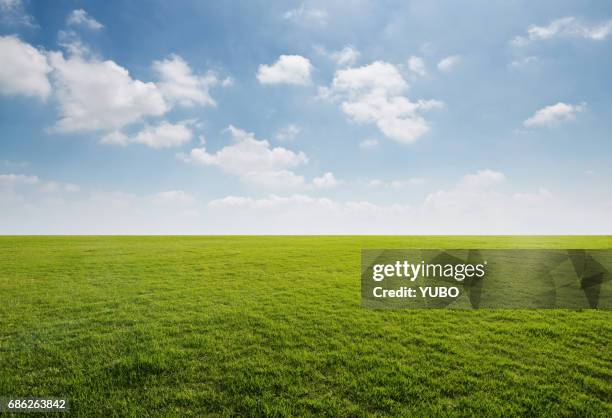 grass background - horizon ストックフォトと画像