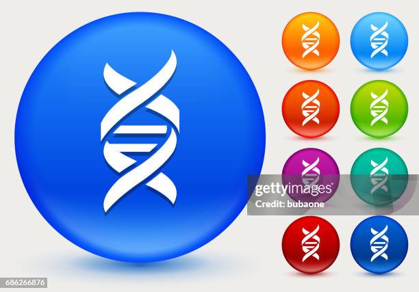 dna icon on shiny color circle buttons - creation set stock illustrations