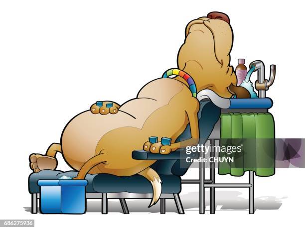 grooming session - funny massage stock illustrations