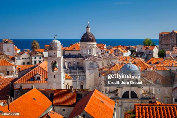 dubrovnik old town - dubrovnik stock pictures, royalty-free photos & images