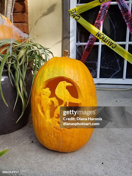 jack-o'-lanterns!  - raven skull stock pictures, royalty-free photos & images