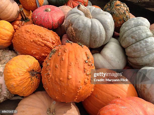 we're back! - essex ct stock pictures, royalty-free photos & images