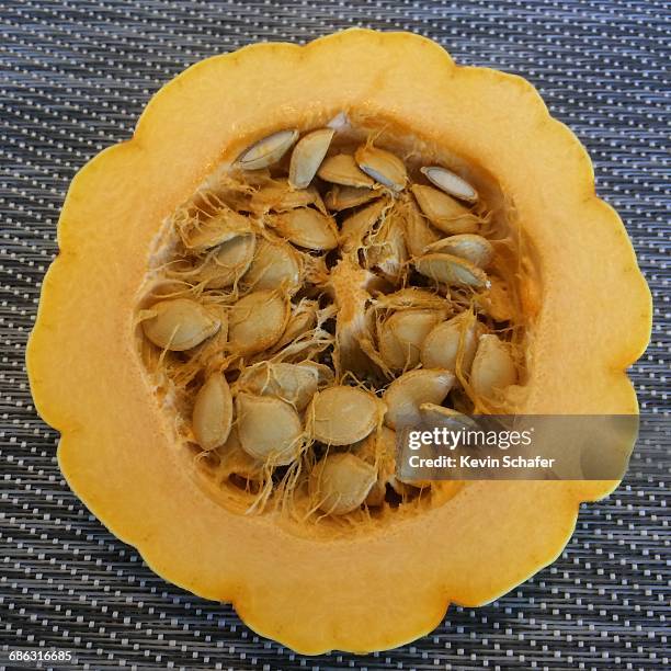 squash - delicata squash stock pictures, royalty-free photos & images