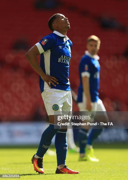 156 Rhys Browne Stock Photos, HighRes Pictures, and Images Getty Images