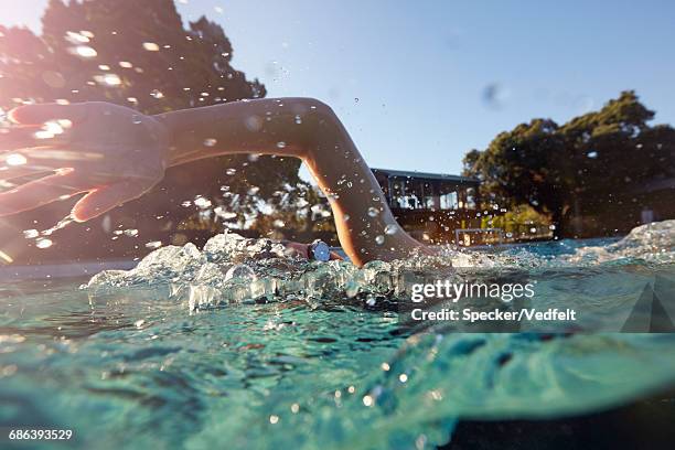 close-up of swimmer doing crawl at sunset - hand uitsteken stockfoto's en -beelden