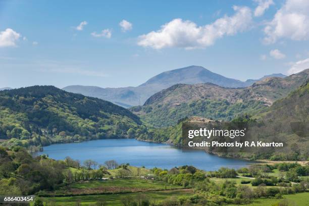 llyn gwynant, snowdonia national park, north wales - snowdonia fotografías e imágenes de stock