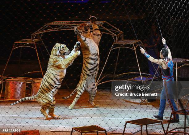 Big Cat Trainer and Presenter Alexander Lacey performs on the final day of the Ringling Bros Barnum and Bailey Circus on May 21, 2017 in Uniondale,...