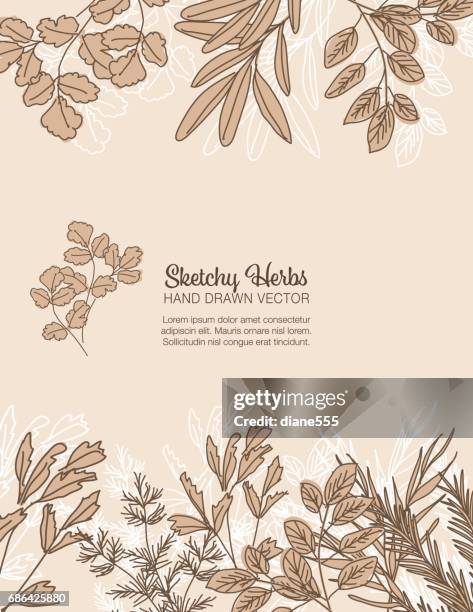 sketchy herbs backgorund - thyme vector stock illustrations