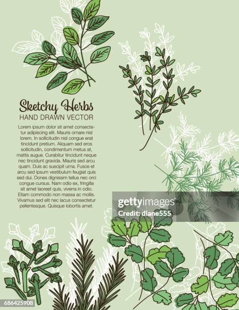 sketchy herbs backgorund - dill stock illustrations