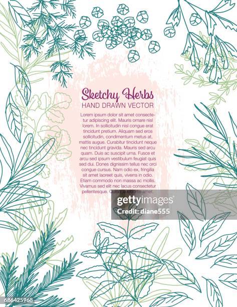 sketchy herbs backgorund - dill stock illustrations
