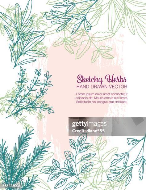 sketchy herbs backgorund - parsley stock illustrations