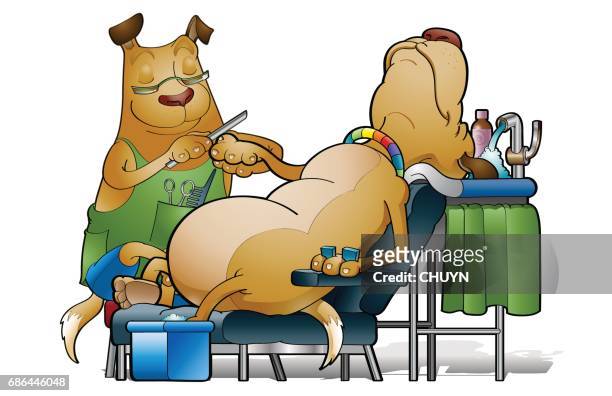 happy grooming day - massage funny stock illustrations